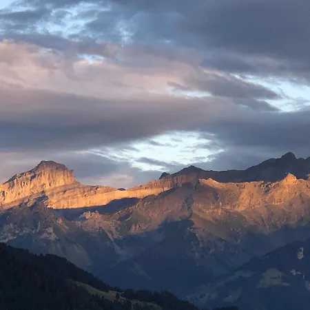 Le Roselier Apartment Leysin